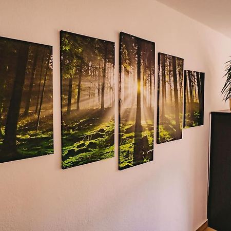 Franzis Feriendomizil Im Herzgebirge Am Skihang Auerbach  Extérieur photo
