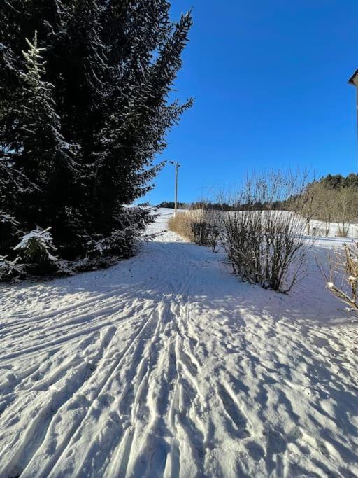 Franzis Feriendomizil Im Herzgebirge Am Skihang Auerbach  Extérieur photo