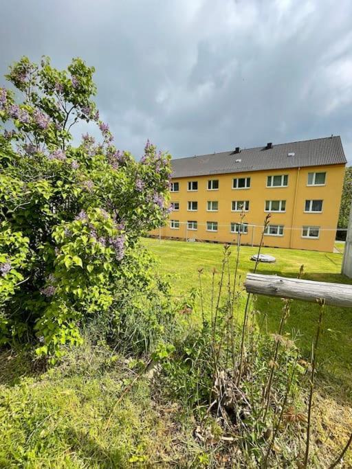 Franzis Feriendomizil Im Herzgebirge Am Skihang Auerbach  Extérieur photo