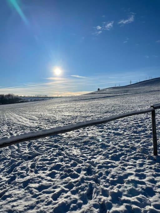 Franzis Feriendomizil Im Herzgebirge Am Skihang Auerbach  Extérieur photo