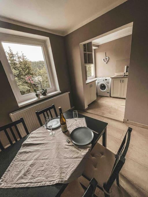 Franzis Feriendomizil Im Herzgebirge Am Skihang Auerbach  Extérieur photo