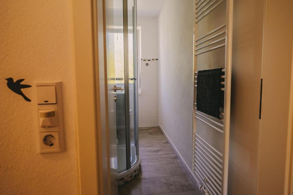 Franzis Feriendomizil Im Herzgebirge Am Skihang Auerbach  Extérieur photo