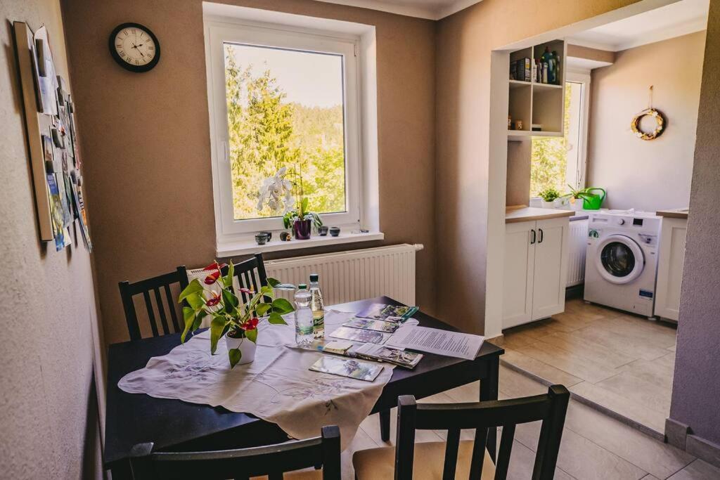 Franzis Feriendomizil Im Herzgebirge Am Skihang Auerbach  Extérieur photo
