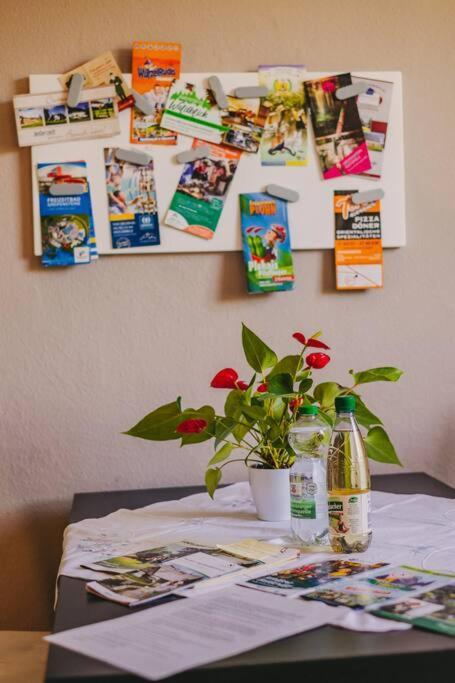 Franzis Feriendomizil Im Herzgebirge Am Skihang Auerbach  Extérieur photo
