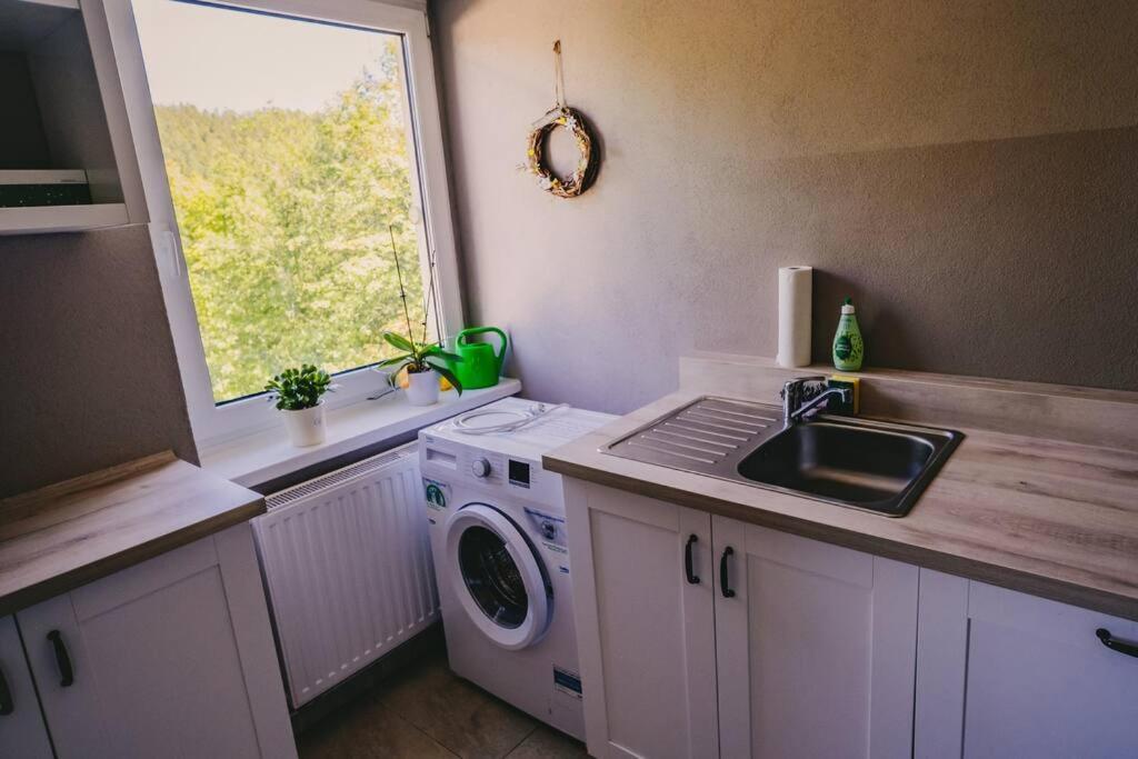 Franzis Feriendomizil Im Herzgebirge Am Skihang Auerbach  Extérieur photo